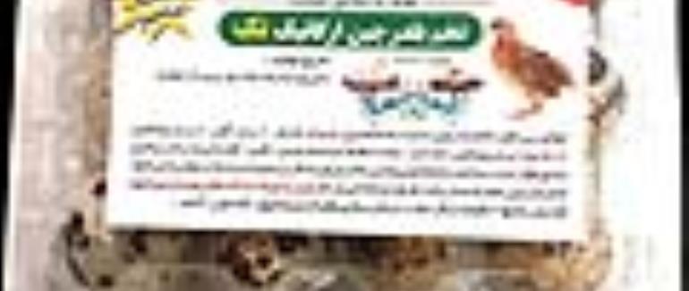 9 خاصیت جالب تخم بلدرچین