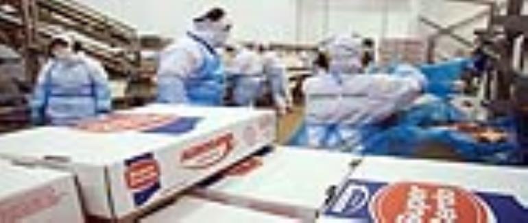 قیمت انواع گوشت یخ زده صادراتی برزیل